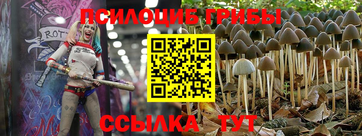 Знаменск  Галлюциногенные грибы мицелий  Вход с VPN  Галлюциногенные грибы Cubensis 