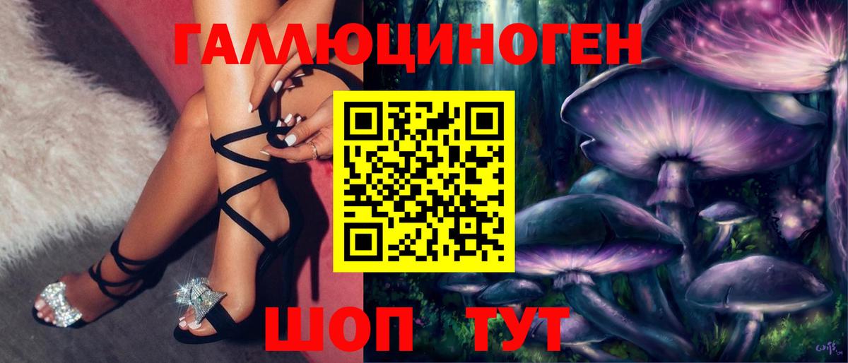 Псилоцибиновые грибы Cubensis Знаменск